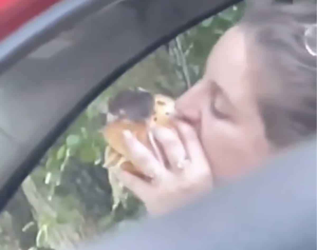 Burger avec souris