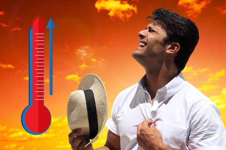 canicule @canva