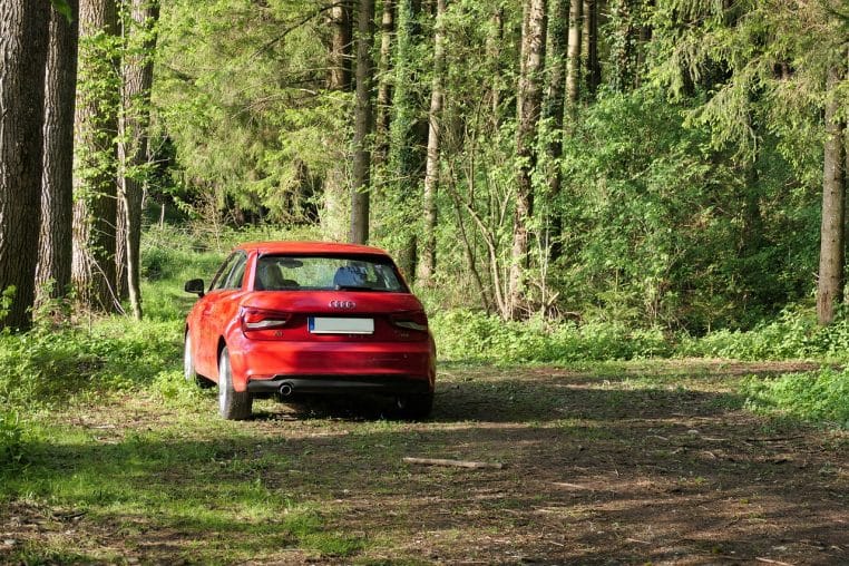 Voiture rouge garée sous des arbres dans un parking en lisière de forêt.