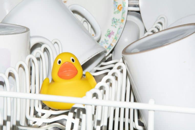 Lave-vaisselle avec canard