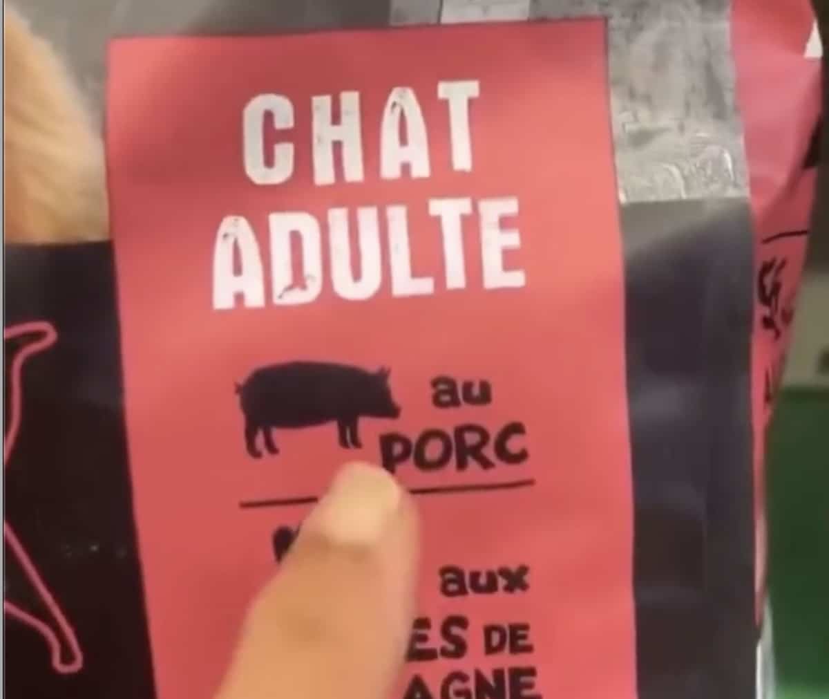 Croquettes de chat au porc