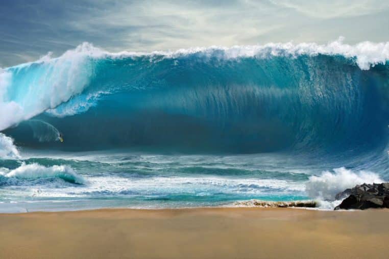 image tsunami @canva