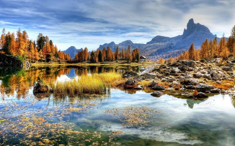 Lac de montagne bordé d’arbres et de montagnes bleutées.