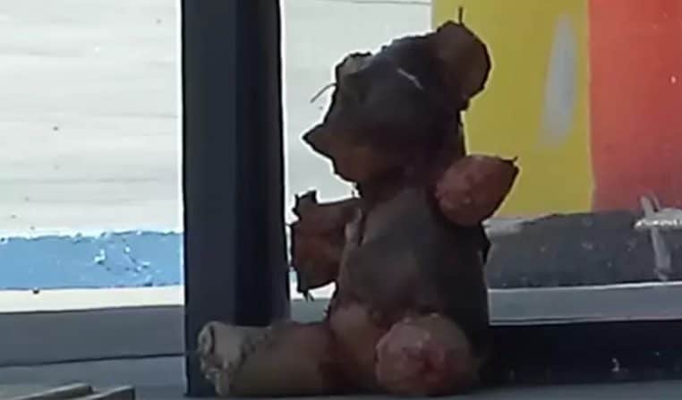 Poupée ours en peluche