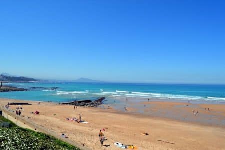 pays basque plage fermees a cause animal