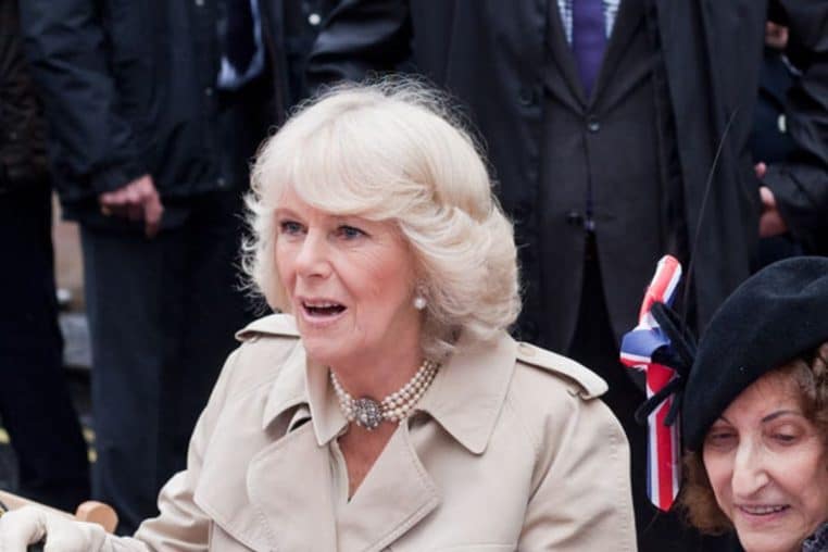 reine camilla @creative commons