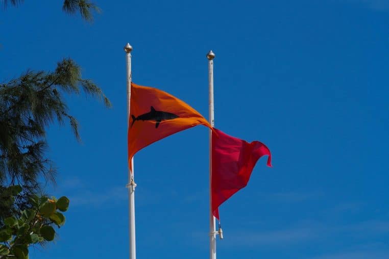 Vue de deux mâts portant un drapeau rouge et un drapeau orange avec la silhouette d’un requin sur fond de ciel bleu et de feuillage en bord de plage.