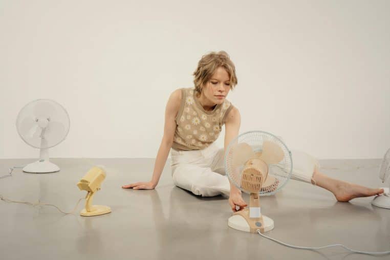 Quel est le seuil de confort dont parle l'OMS ?