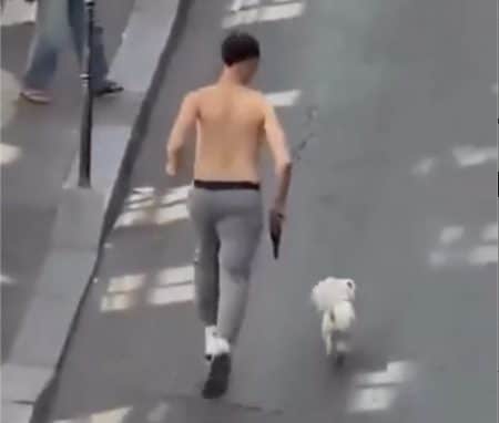 Vol chien