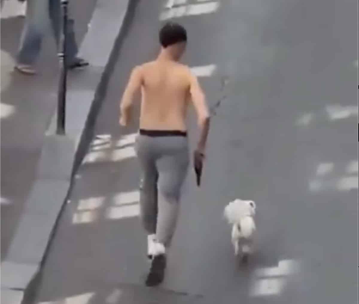 Vol chien