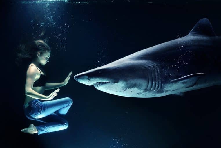 woman, shark, great white shark, underwater, under water, sea, shark attack, human host, underwater world, basking shark, lady, water, blue, lake, predatory fish, model, hunter, sea creatures, photoshop, image manipulation, photo manipulation, shark and woman, photoshop art, friends, animal and human, swim, dive, swimming with sharks, nature, teeth, image editing, graphic design, digital art, shark fin, fin, shark teeth, dogfish, danger, hold your breath, air bubbles, digital, girl, skin, jeans
