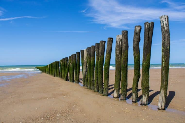 sea, beach, barrier, wood, nature, separation, coast, resort, france, pas de calais, low tide, canche bay, north sea, plage escardines, oye plage