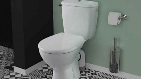 Femme Animal Toilettes