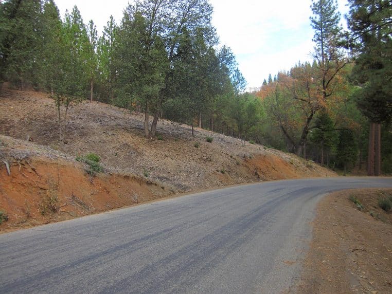 Large zone dégagée entre deux boulevards forestiers.
