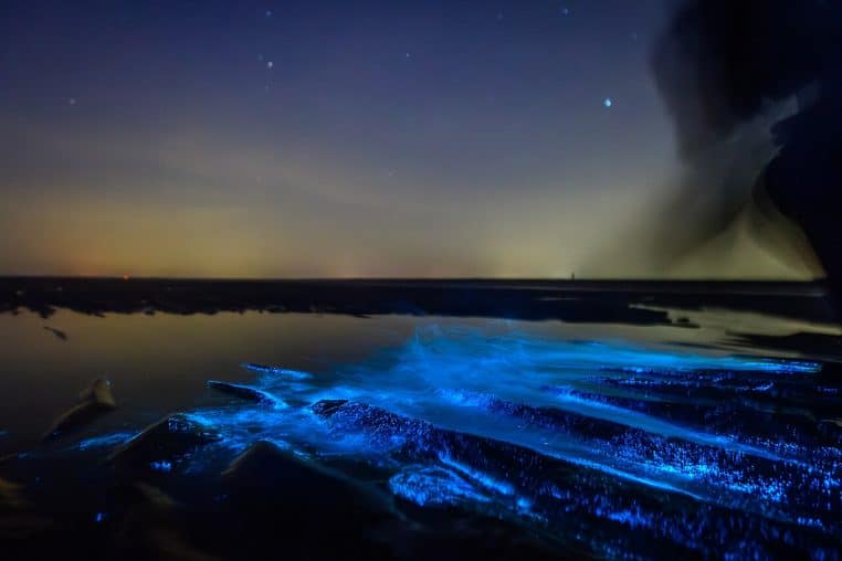 Vagues nocturnes bleu-vert sur une plage allemande, bioluminescence visible au ressac.