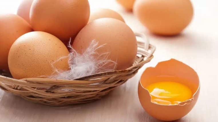 Oeufs cuisine personnalite