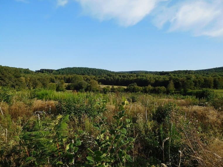 Paysage du Morvan (Nièvre).
