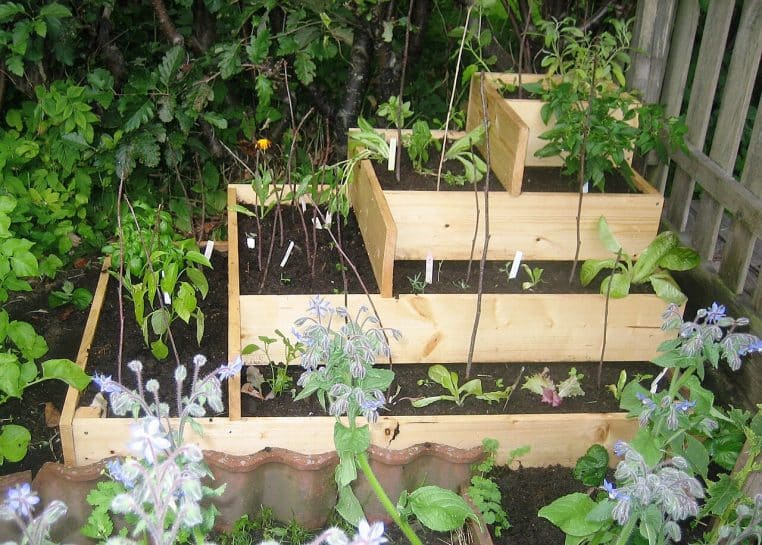 Carré potager surélevé avec plantations d’été.