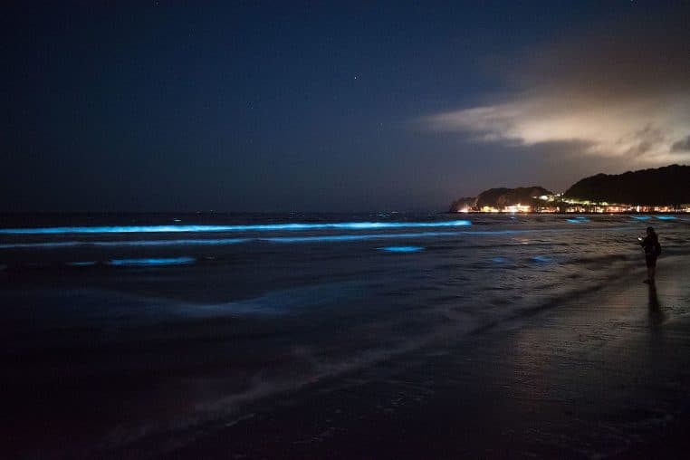 Bord de mer nocturne avec traînées lumineuses bleues sur la plage.