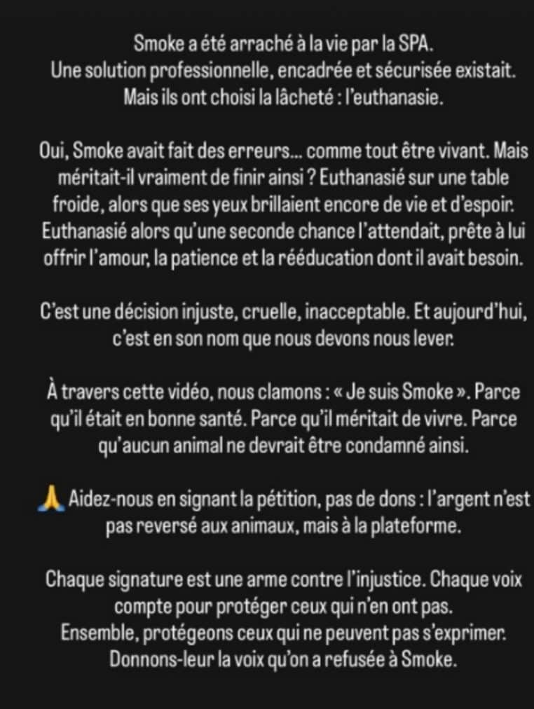 Smoke chien euthanasié