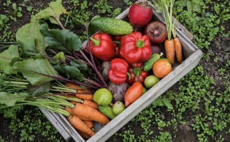 actu potager info