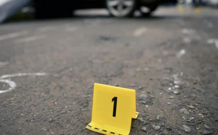 adolescentes train infos