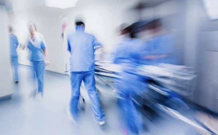 aliments alimentation mort actu