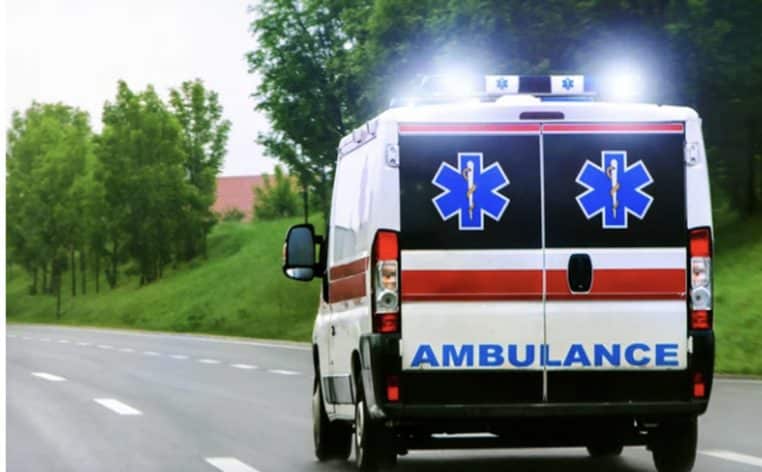 aliments alimentation mort actu