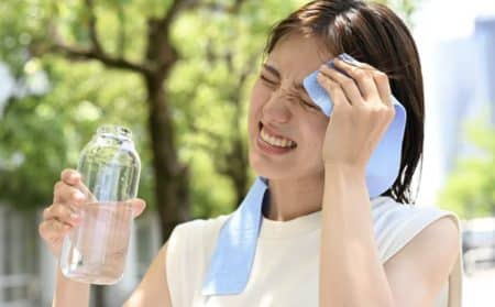 canicule actualité
