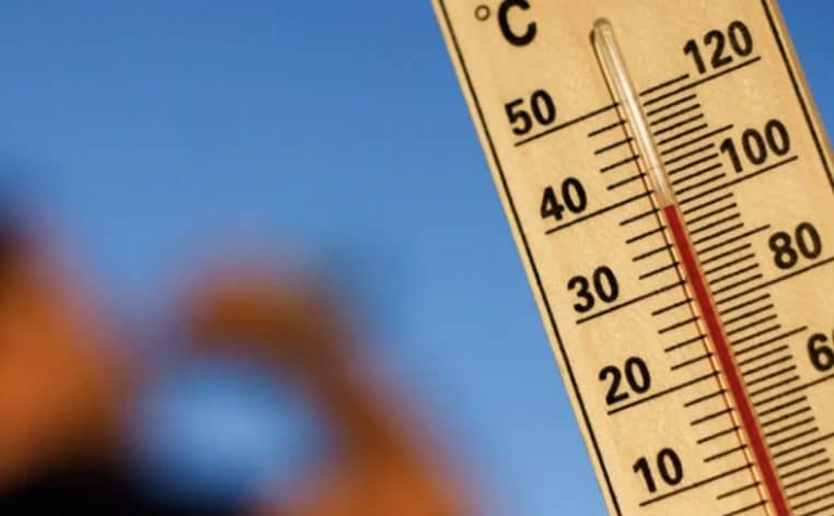 canicule actualité