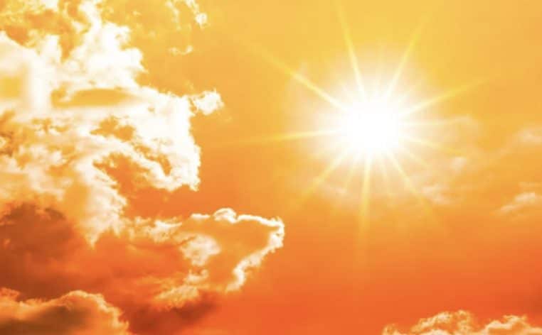 canicule actualité