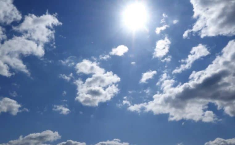 canicule actualité