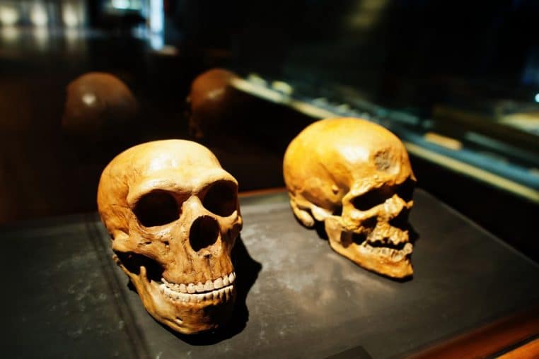 cranes humains @canva