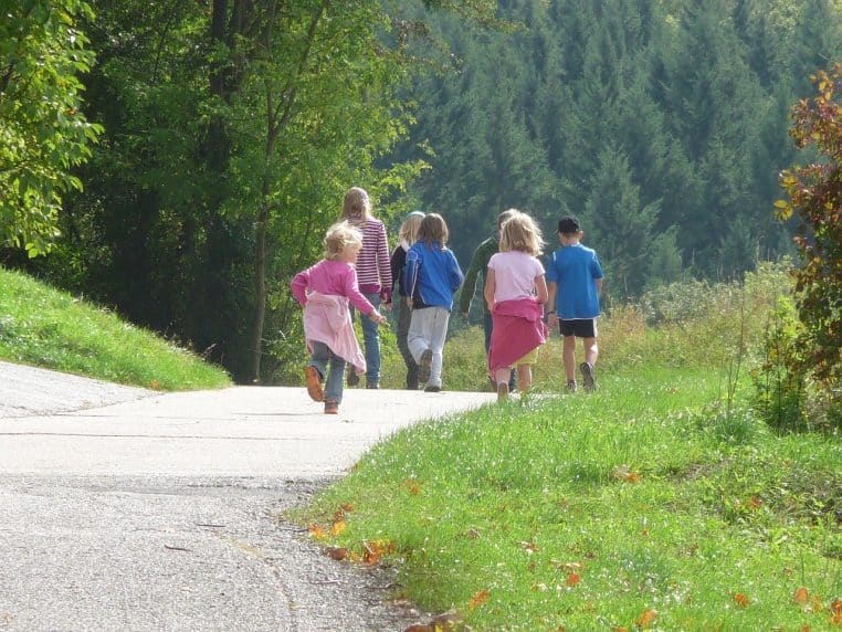 Enfants marchant sur un petit chemin dans la verdure.
