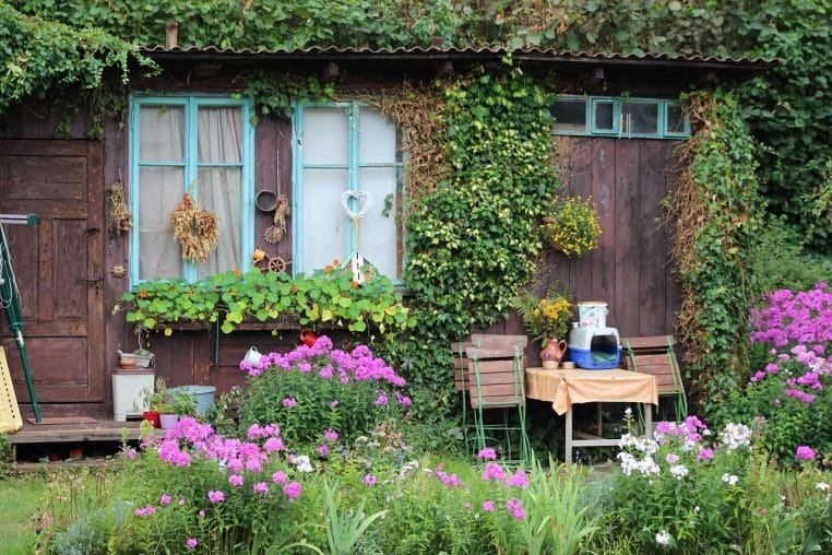 Abri de jardin en bois éclairé par la lumière naturelle, avec outils accrochés aux murs.