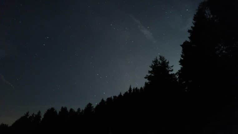 Ciel étoilé au-dessus d’une lisière de forêt en Haute-Loire.