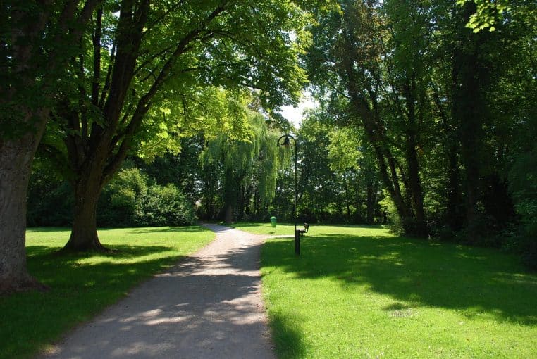 Sentier ombragé dans un parc boisé.