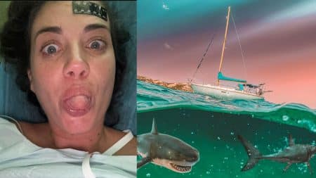 Eleonora Boi alitée à l’hôpital après son attaque, montage avec un voilier et deux requins sous l’eau.