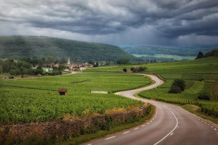 Route étroite serpentant au milieu des vignes en Bourgogne.