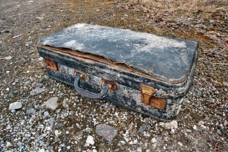 valise