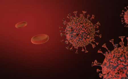 virus alerte maladie actualité
