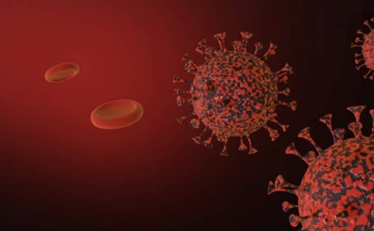 virus alerte maladie actualité