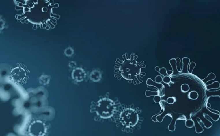 virus alerte maladie actualité