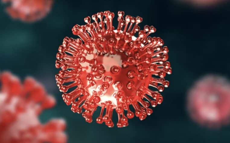 virus alerte maladie actualité