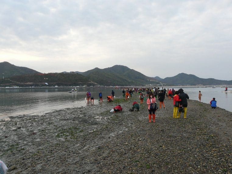 Participants traversant la mer ouverte lors du festival à Jindo.