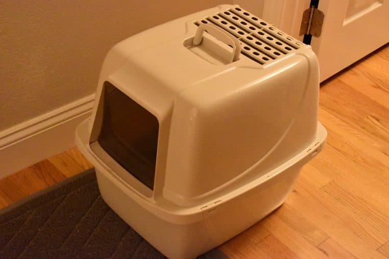 Bac à litière rempli de granulés.