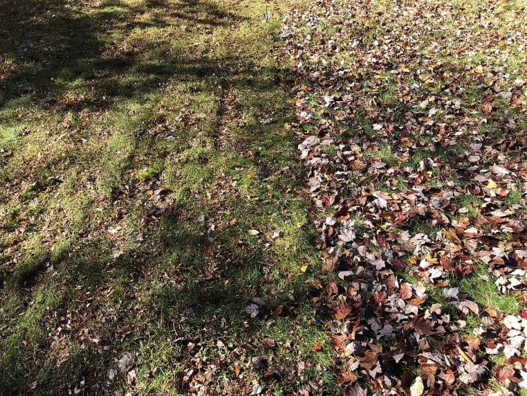 Tas de feuilles mortes prêt à être collecté