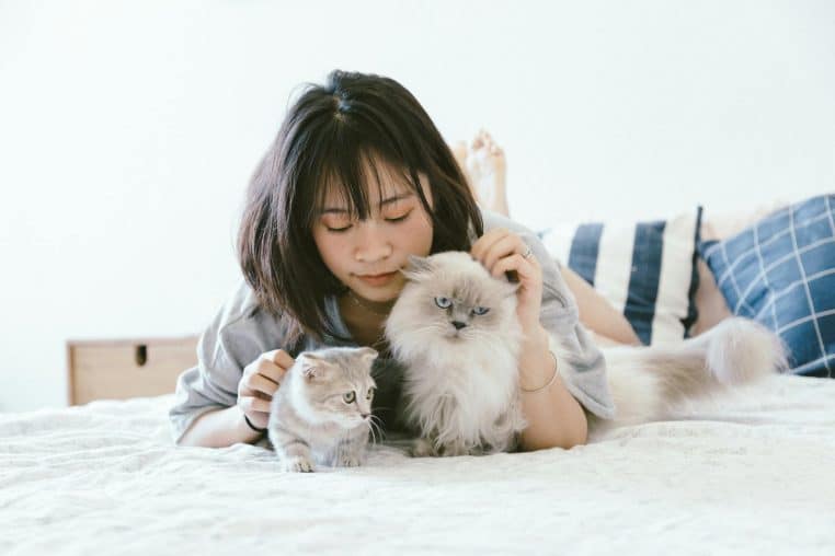 Young Asian woman relaxing on a bed with two fluffy cats in a cozy bedroom.
