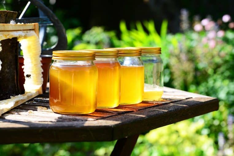 honey, jars, harvest, bees, garden, honey jars, nature, glass containers, glass jars, golden, pure, raw