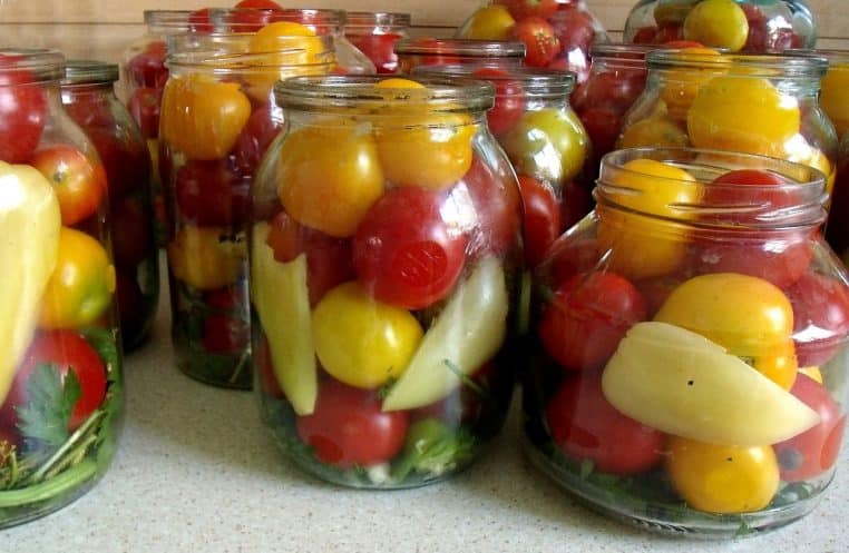 Bocaux de tomates prêts pour stérilisation